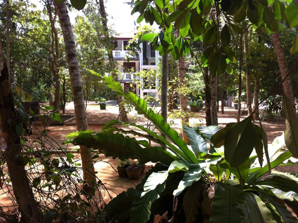 Gem Field Rest Bed & Breakfast Ратнапура Екстериор снимка